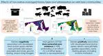 New paper published in Science of the Total Environment